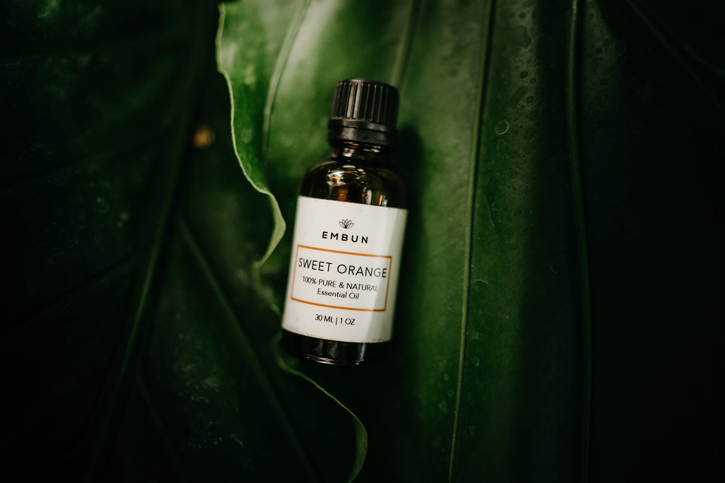 Sweet Orange Essential Oil