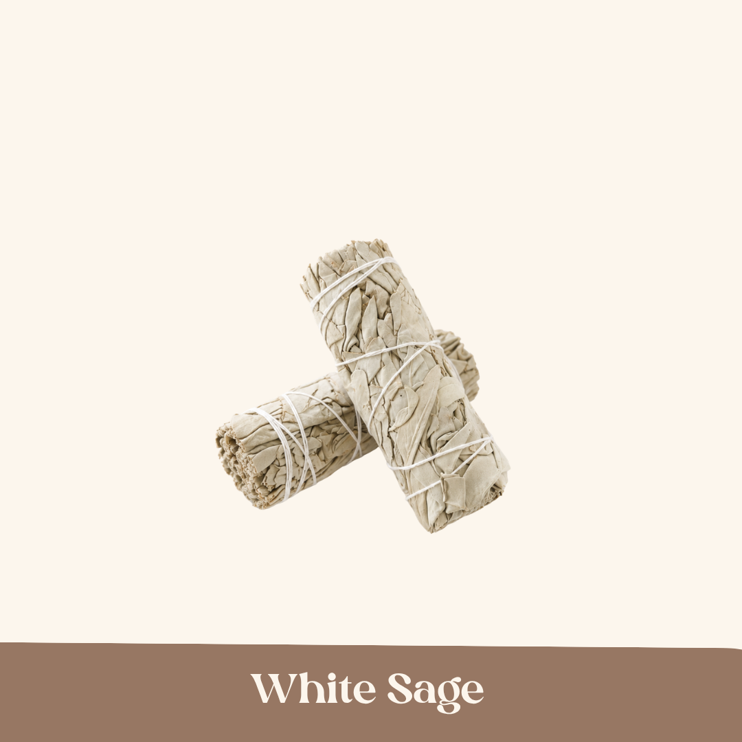 White Sage Leaf