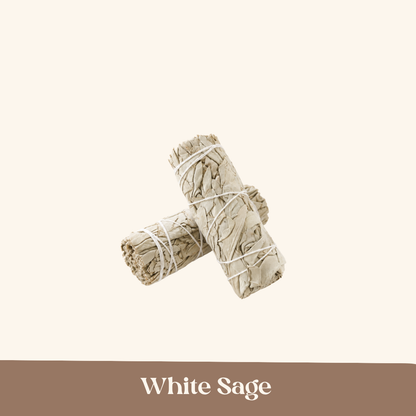 White Sage Leaf