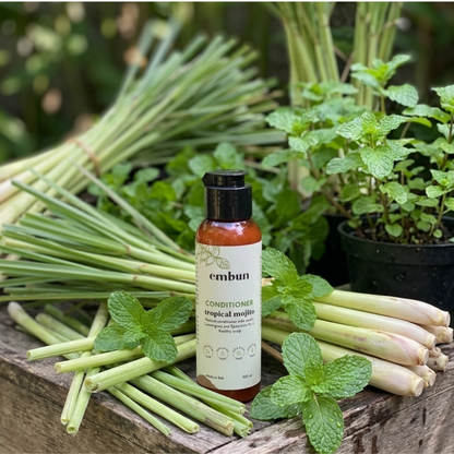 Conditioner Tropical Mojito